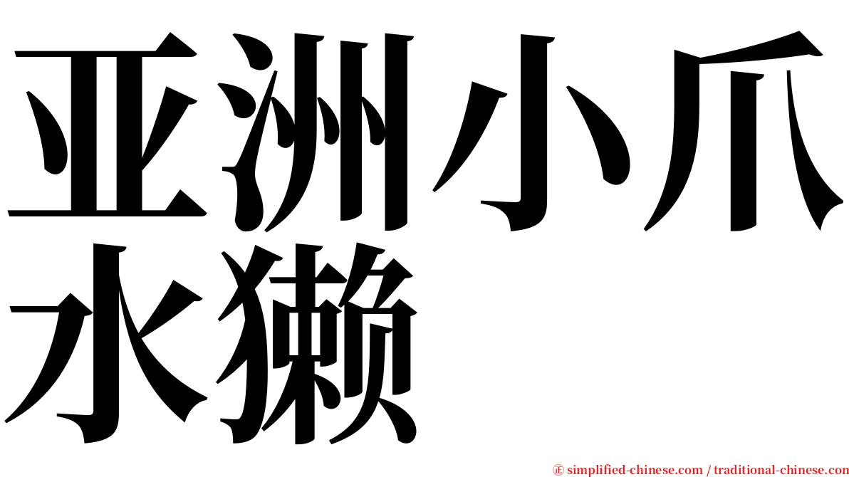 亚洲小爪水獭 serif font