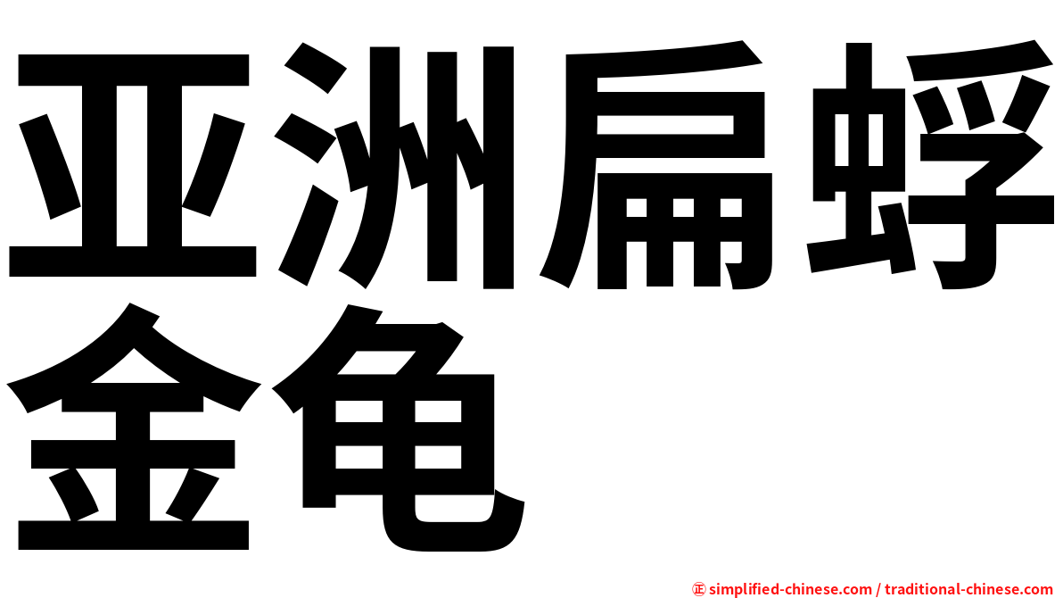 亚洲扁蜉金龟