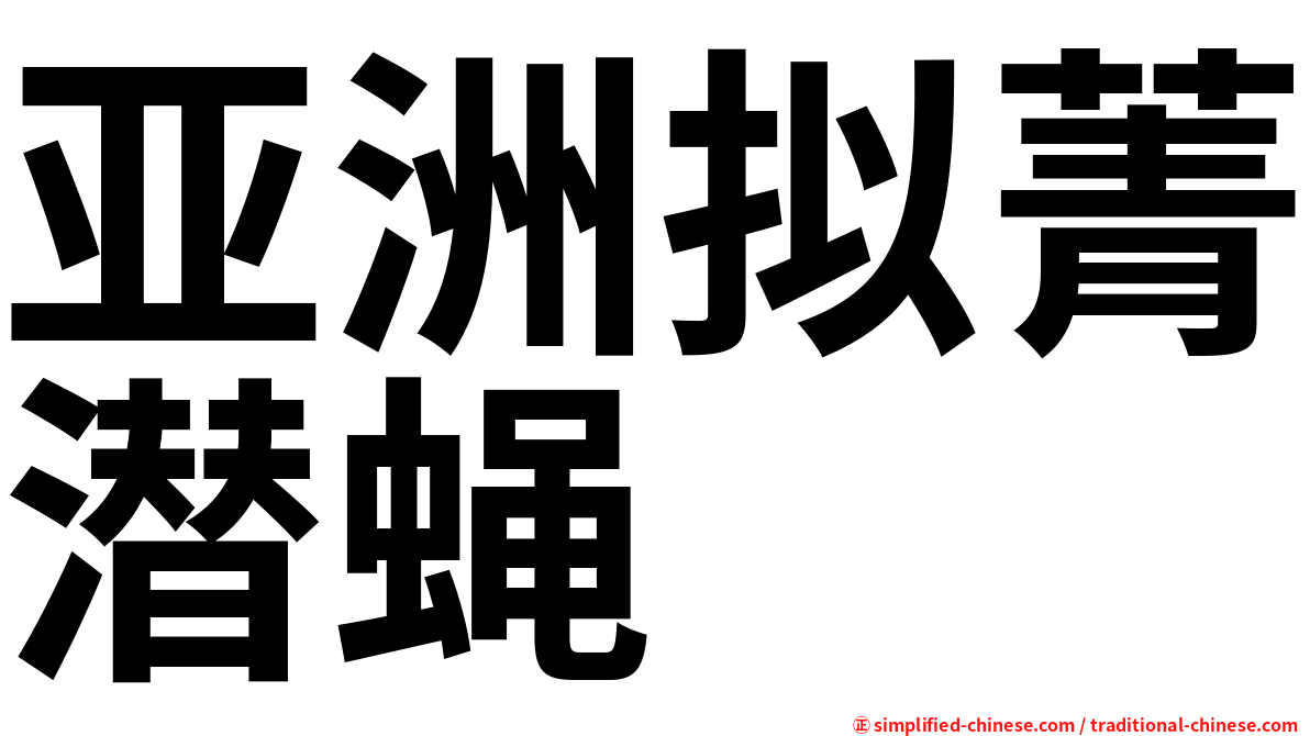 亚洲拟菁潜蝇