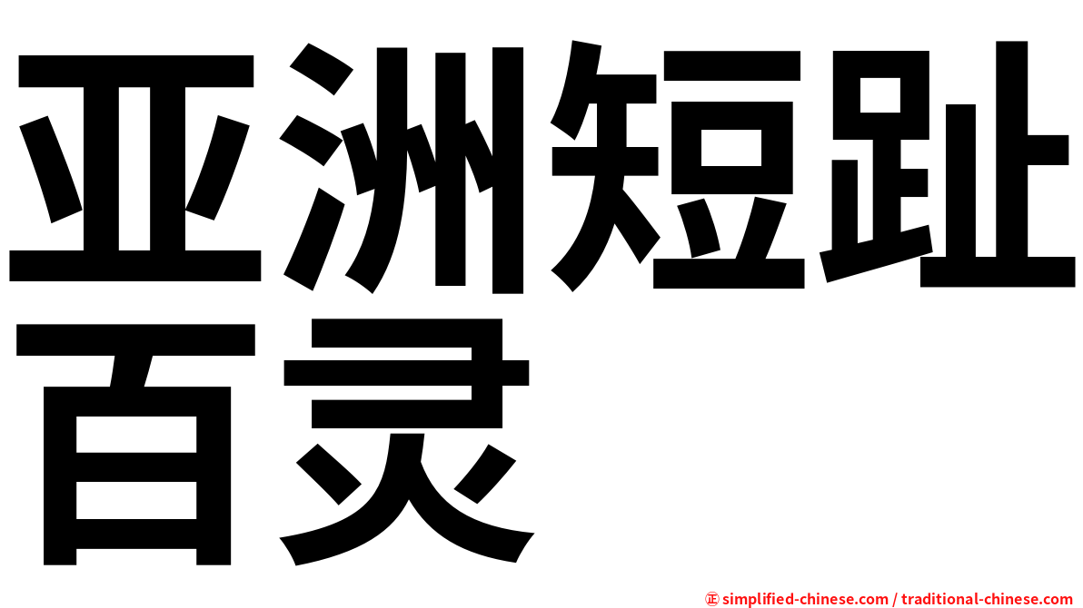 亚洲短趾百灵