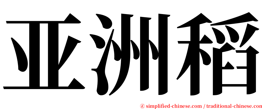 亚洲稻 serif font