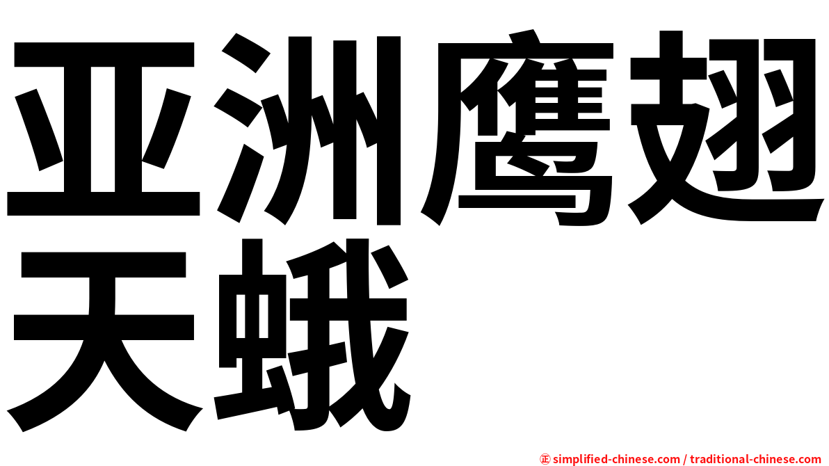 亚洲鹰翅天蛾