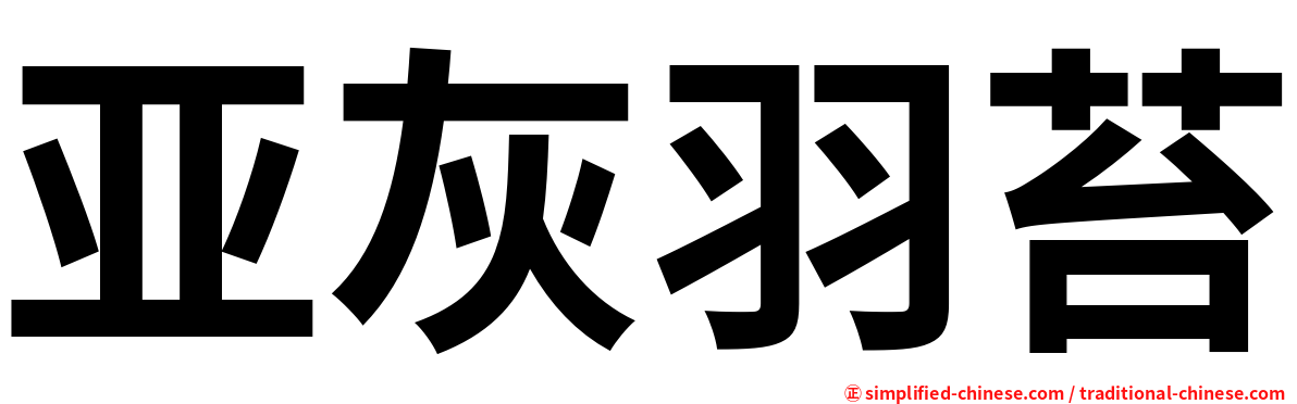 亚灰羽苔