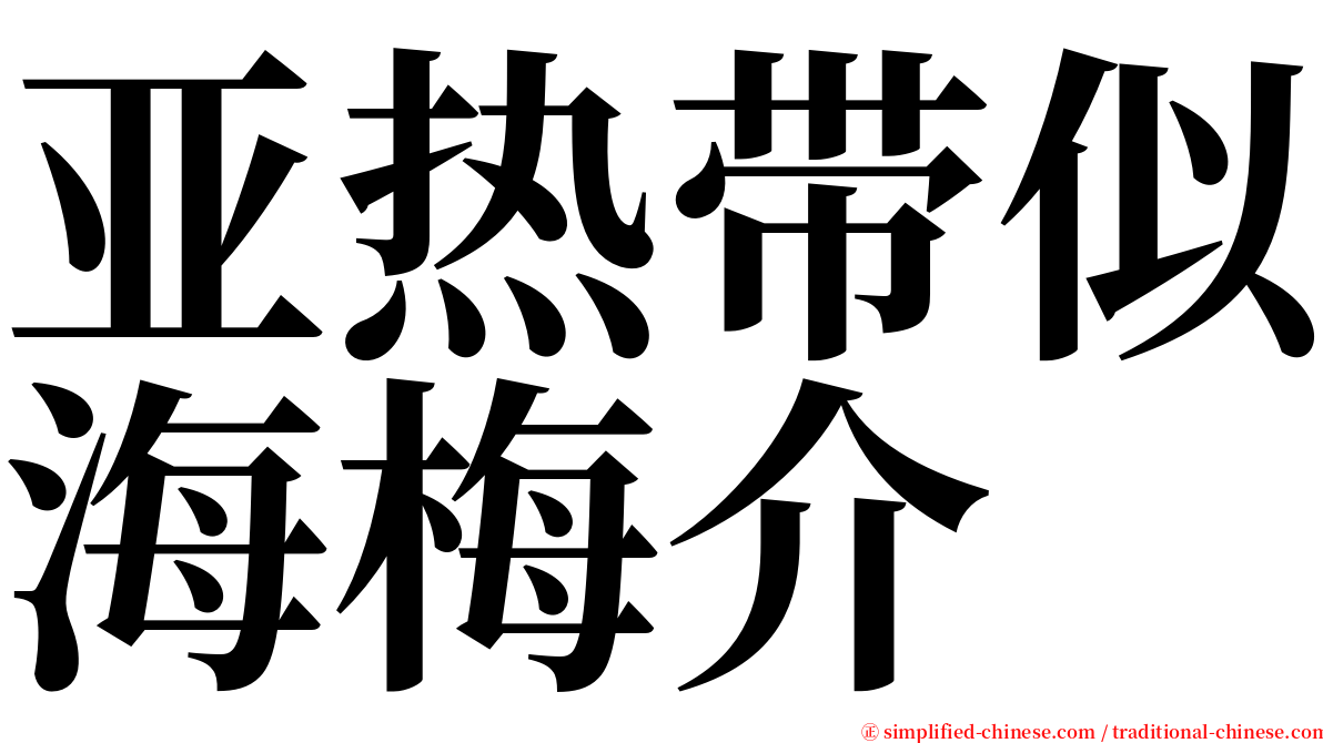 亚热带似海梅介 serif font