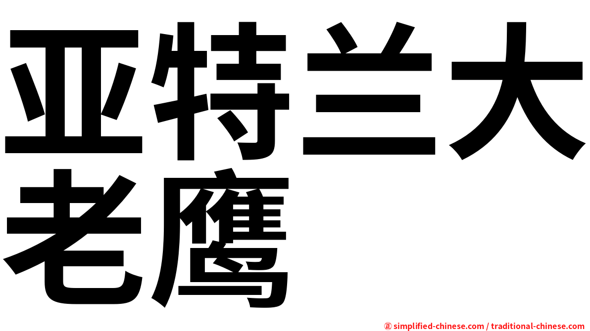 亚特兰大老鹰