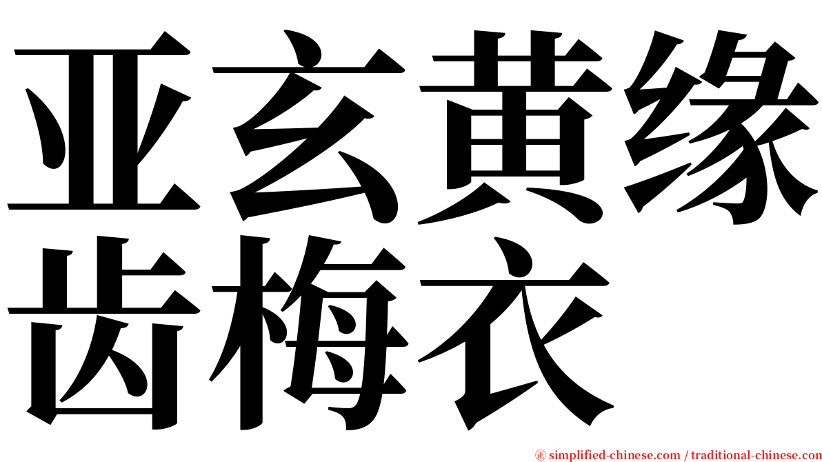 亚玄黄缘齿梅衣 serif font