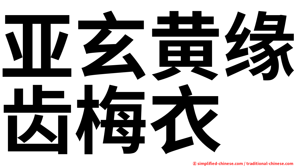 亚玄黄缘齿梅衣