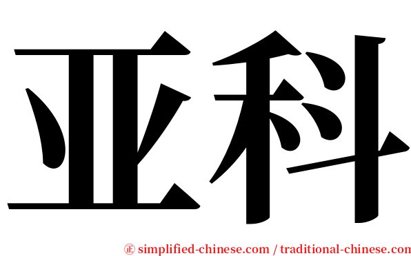 亚科 serif font