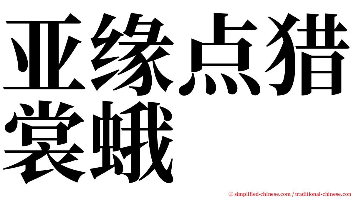 亚缘点猎裳蛾 serif font
