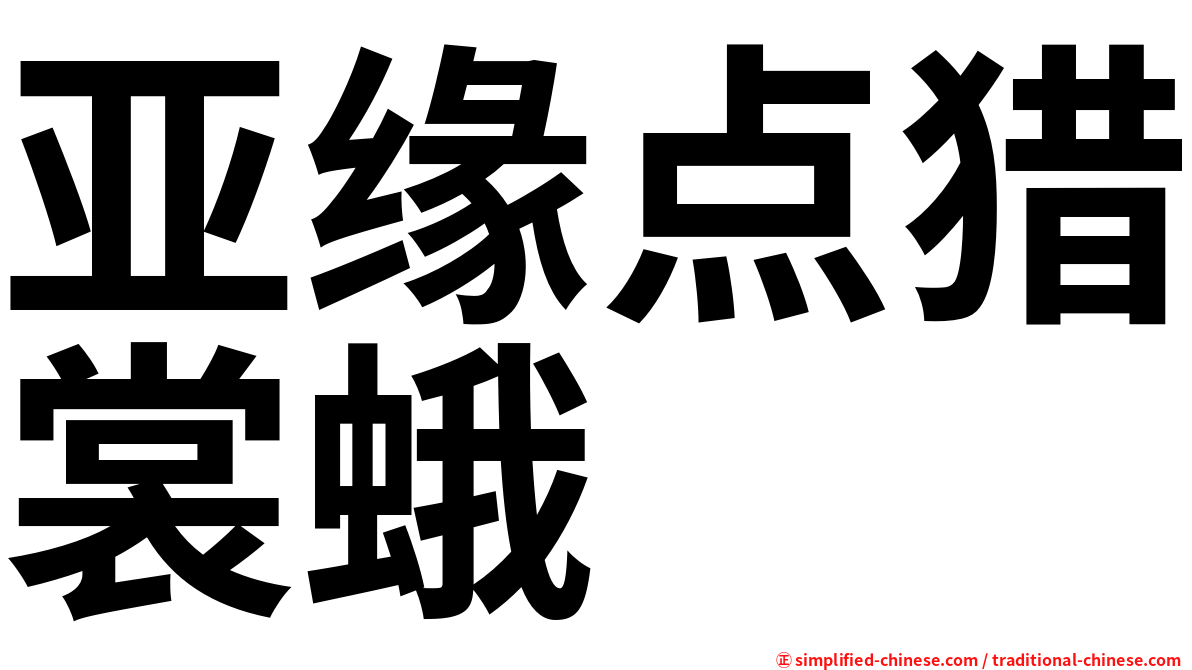 亚缘点猎裳蛾