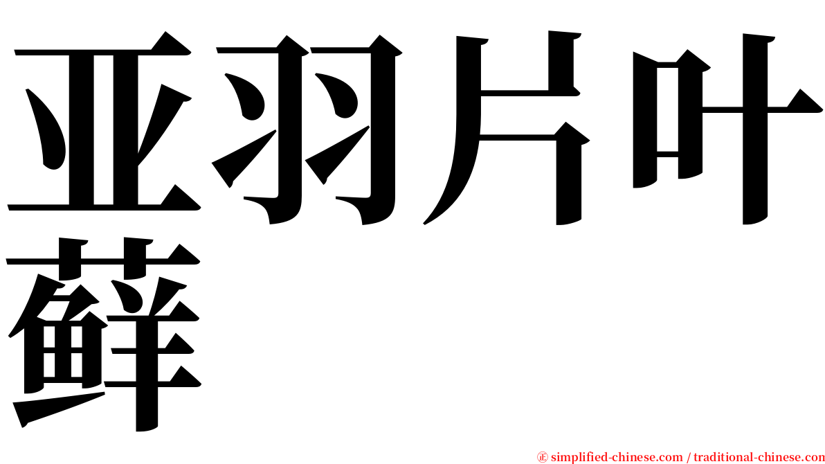 亚羽片叶藓 serif font