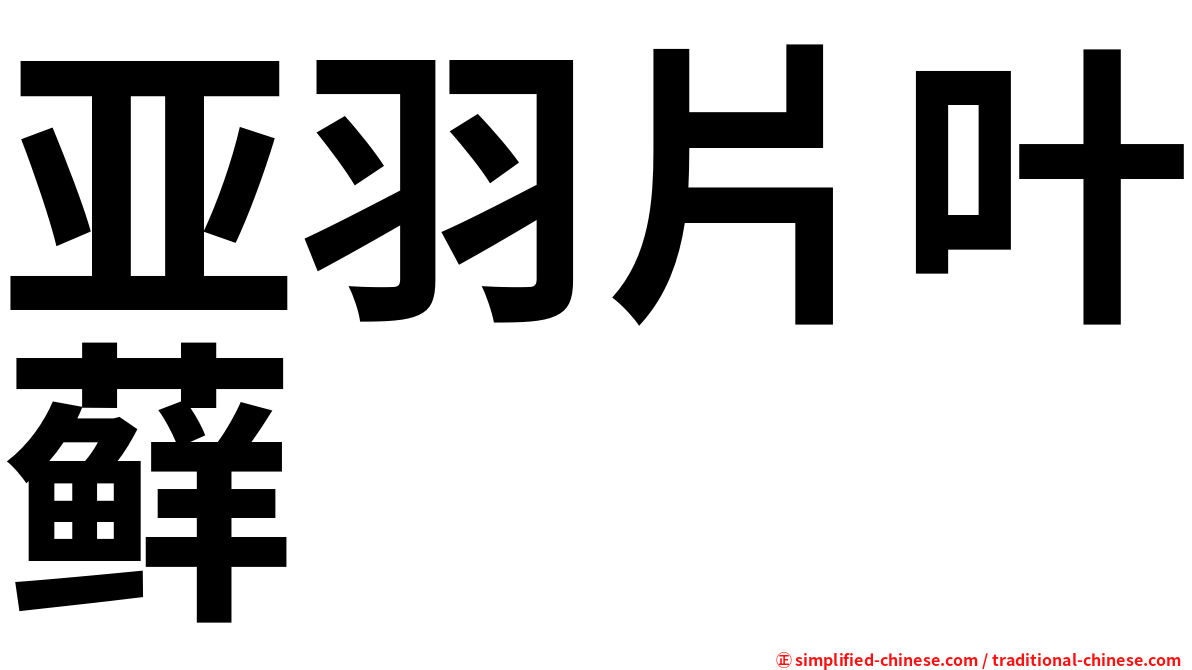 亚羽片叶藓