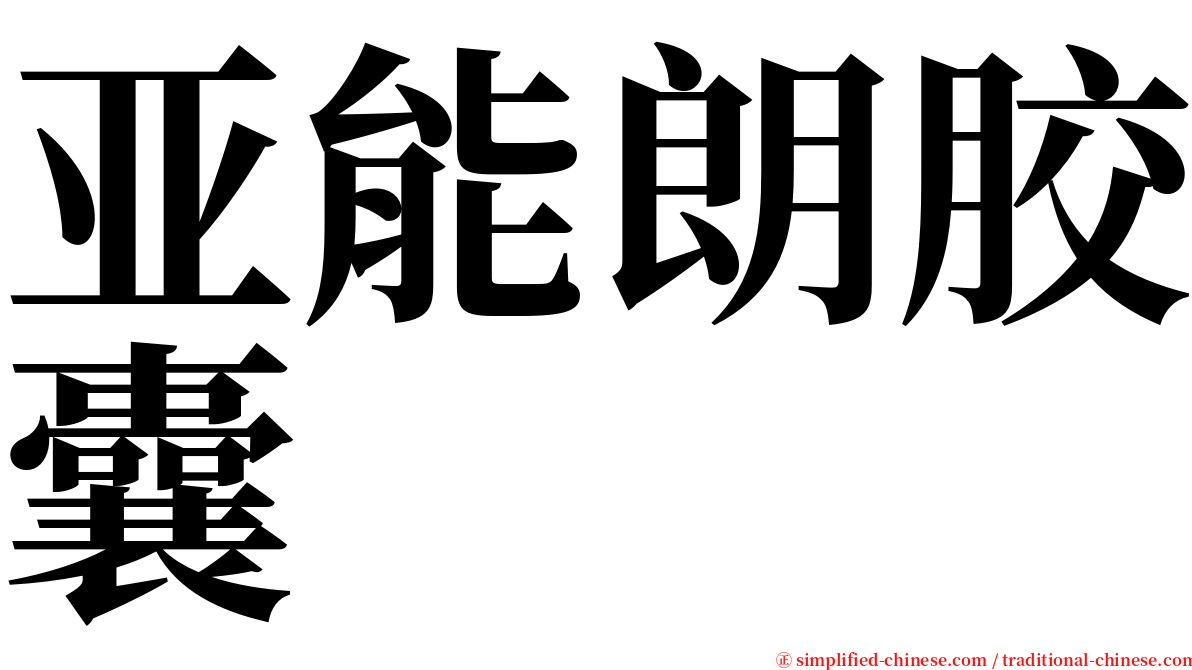 亚能朗胶囊 serif font