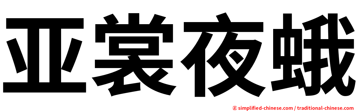 亚裳夜蛾