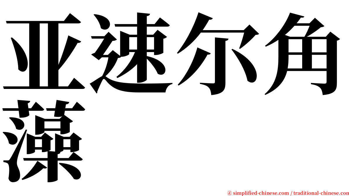亚速尔角藻 serif font