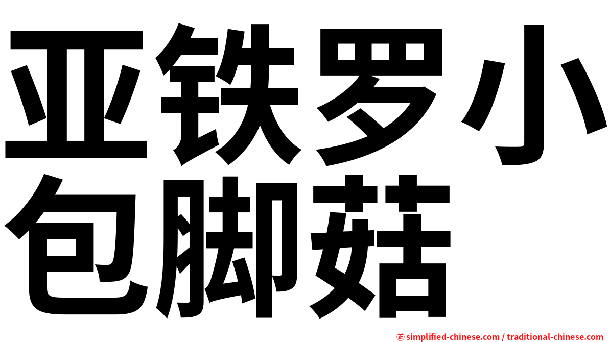 亚铁罗小包脚菇