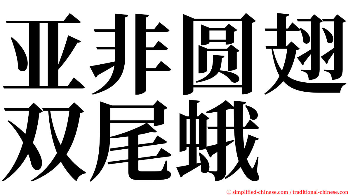 亚非圆翅双尾蛾 serif font