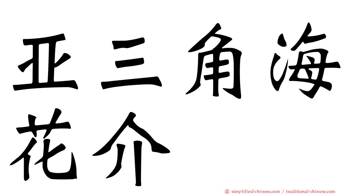 亚三角海花介