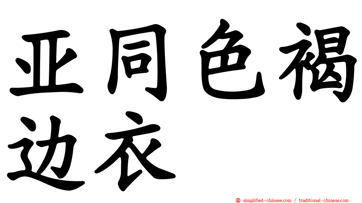 亚同色褐边衣