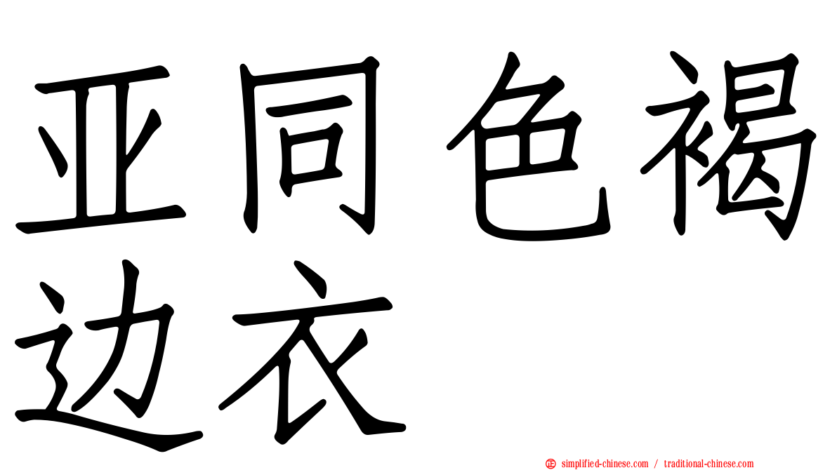 亚同色褐边衣