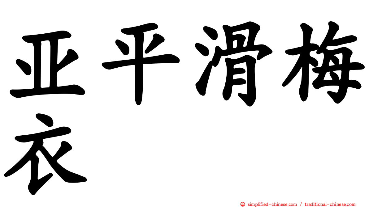 亚平滑梅衣