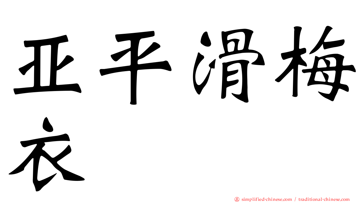 亚平滑梅衣