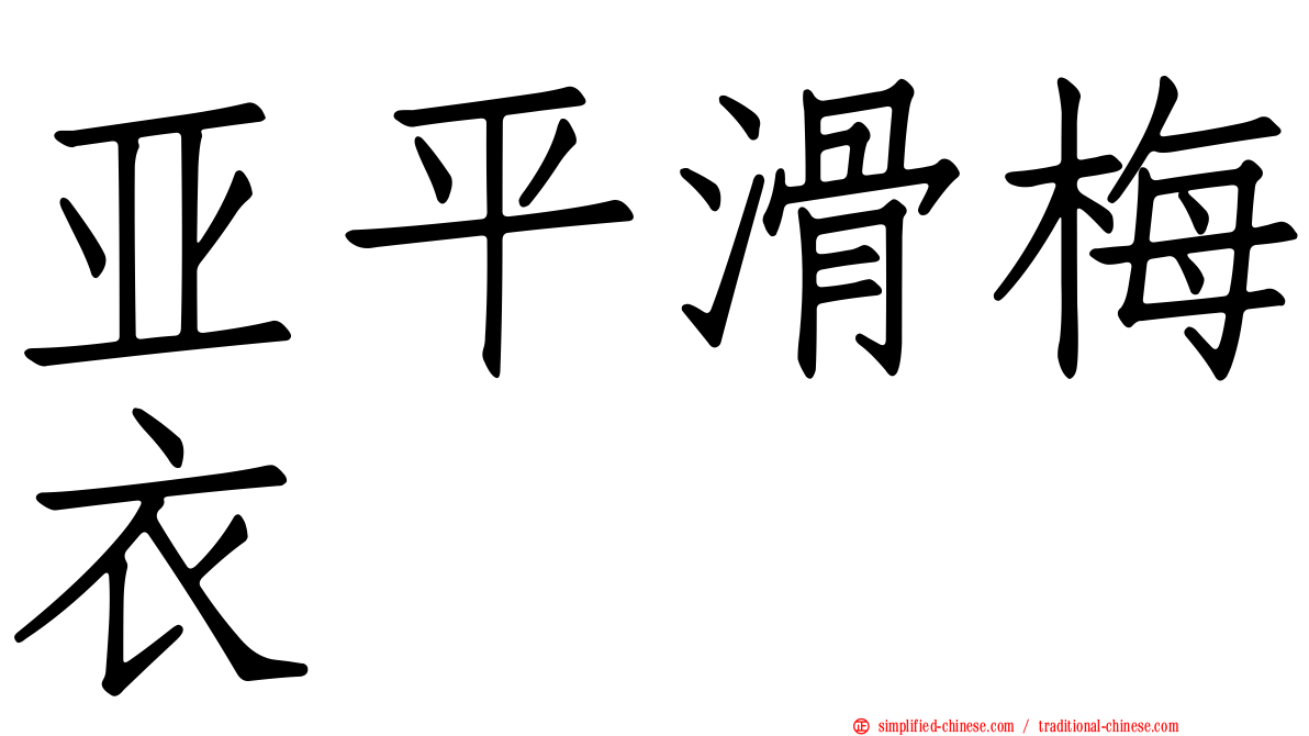 亚平滑梅衣