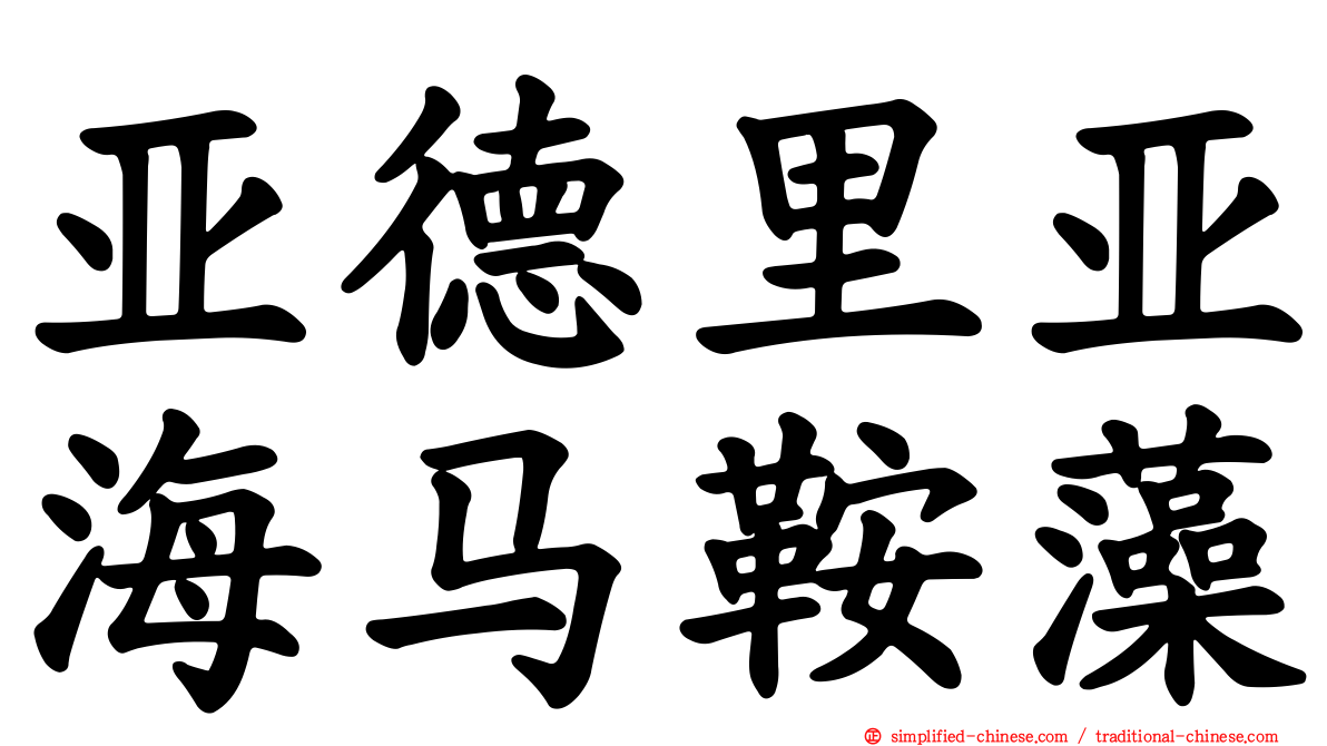 亚德里亚海马鞍藻
