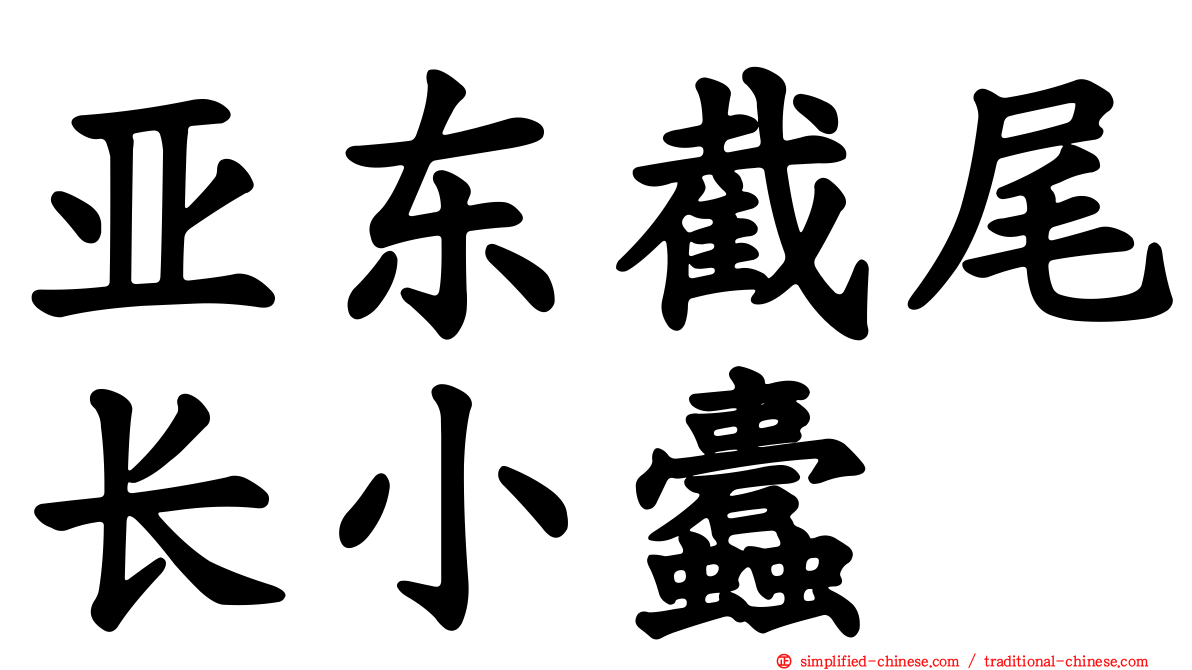 亚东截尾长小蠹