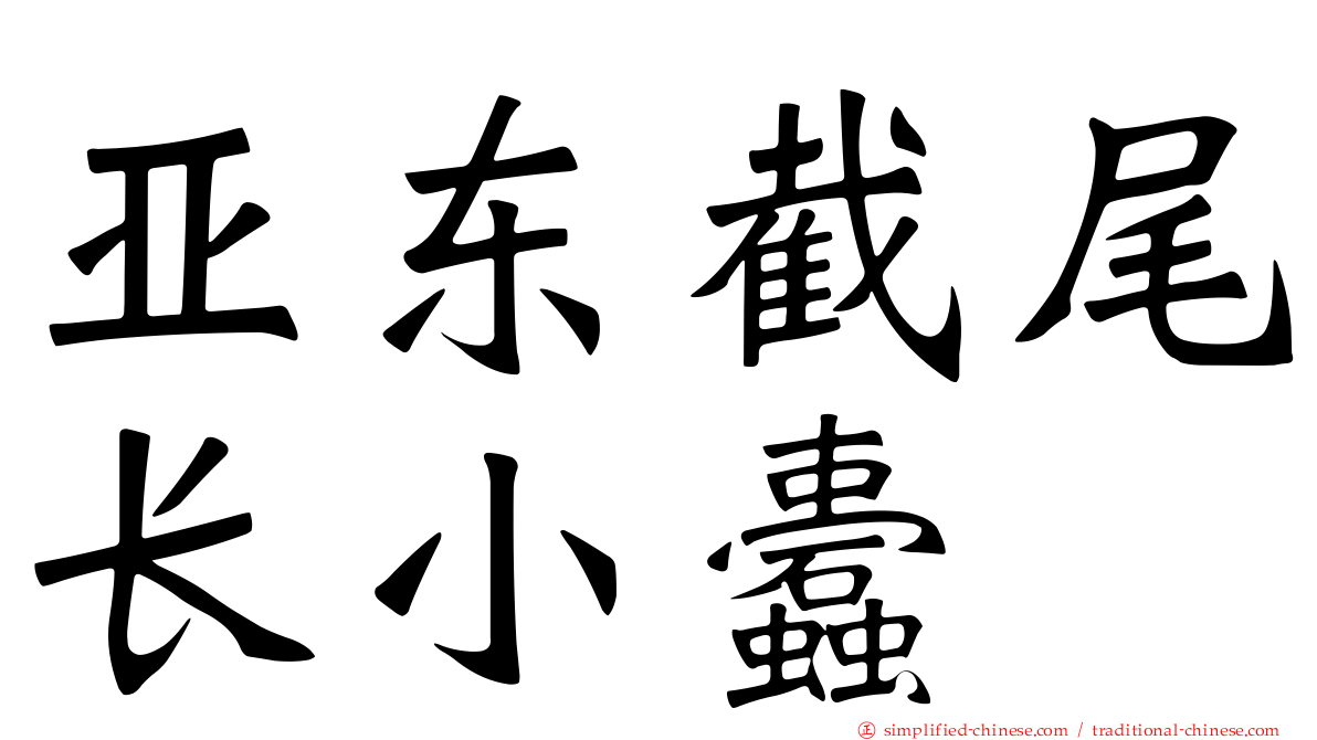 亚东截尾长小蠹