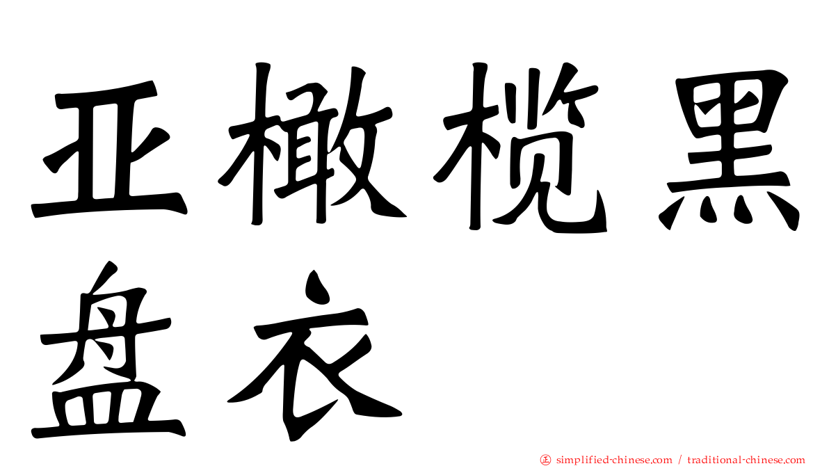 亚橄榄黑盘衣