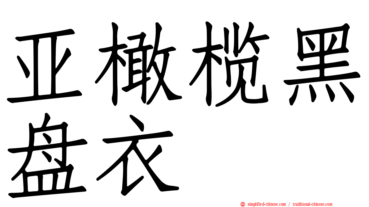 亚橄榄黑盘衣