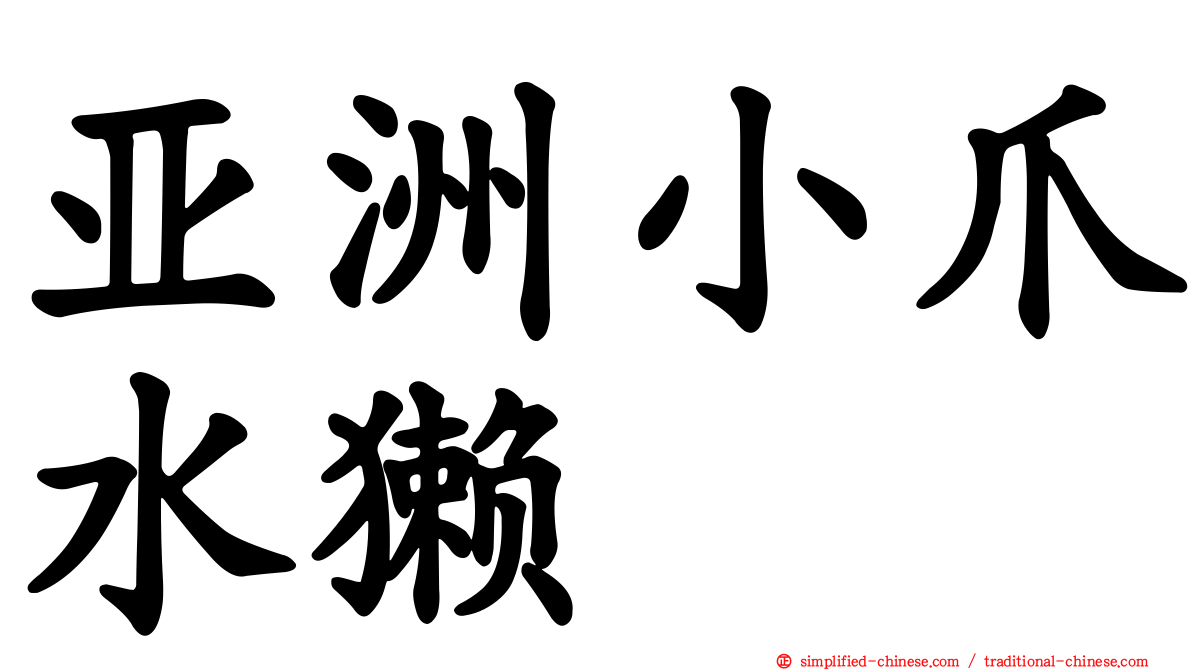 亚洲小爪水獭
