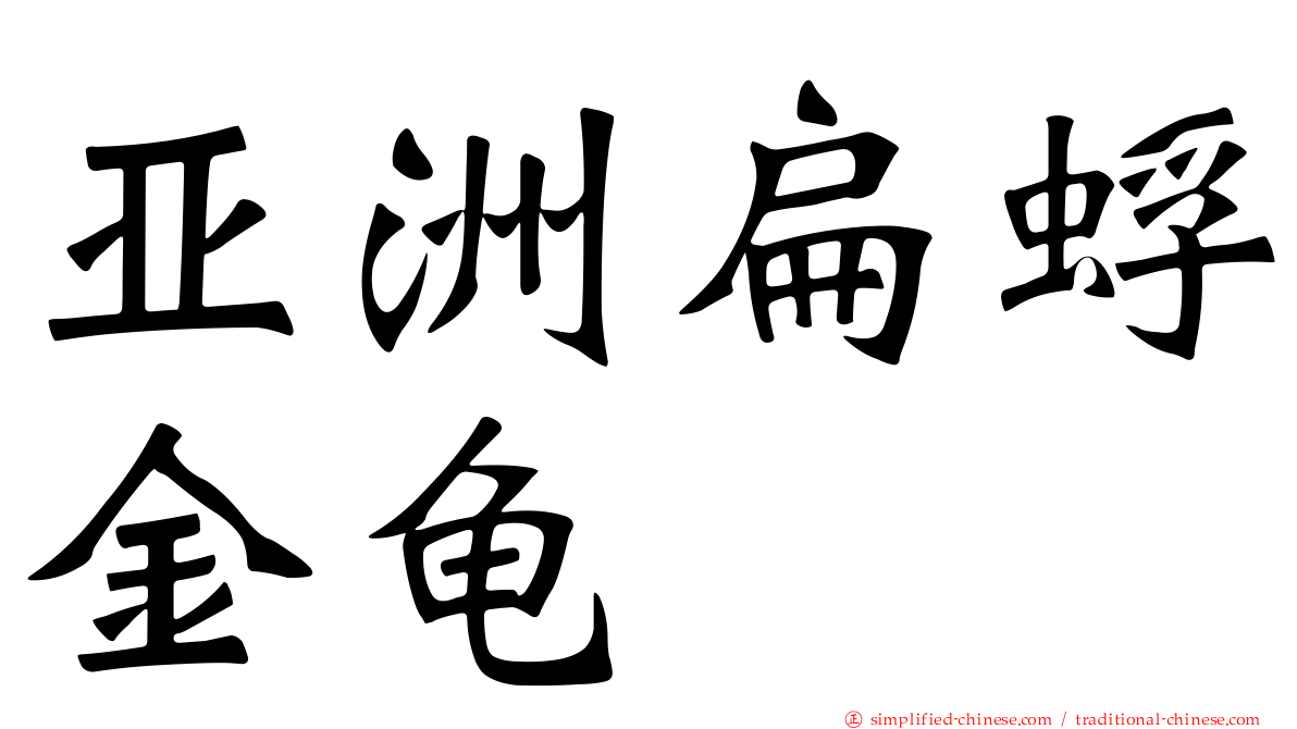 亚洲扁蜉金龟