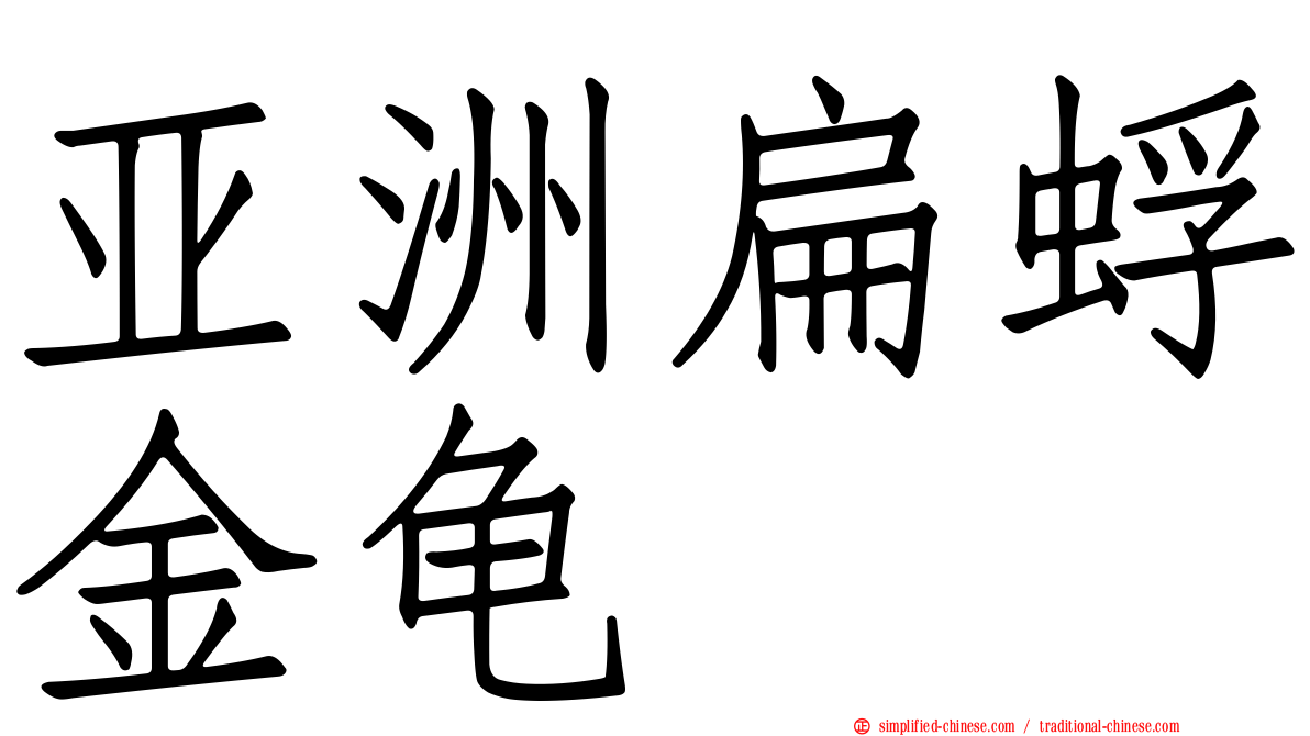 亚洲扁蜉金龟