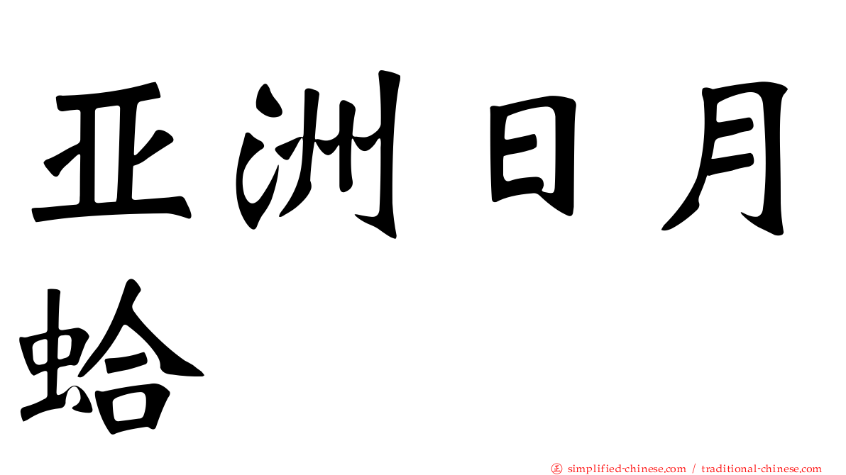 亚洲日月蛤