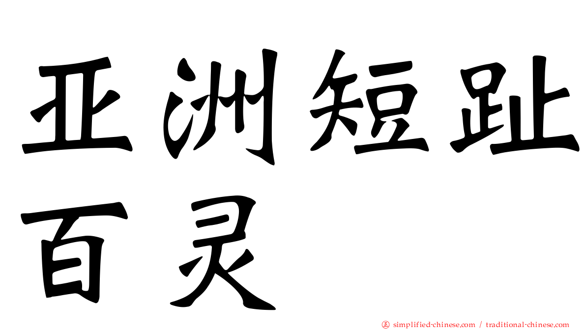 亚洲短趾百灵