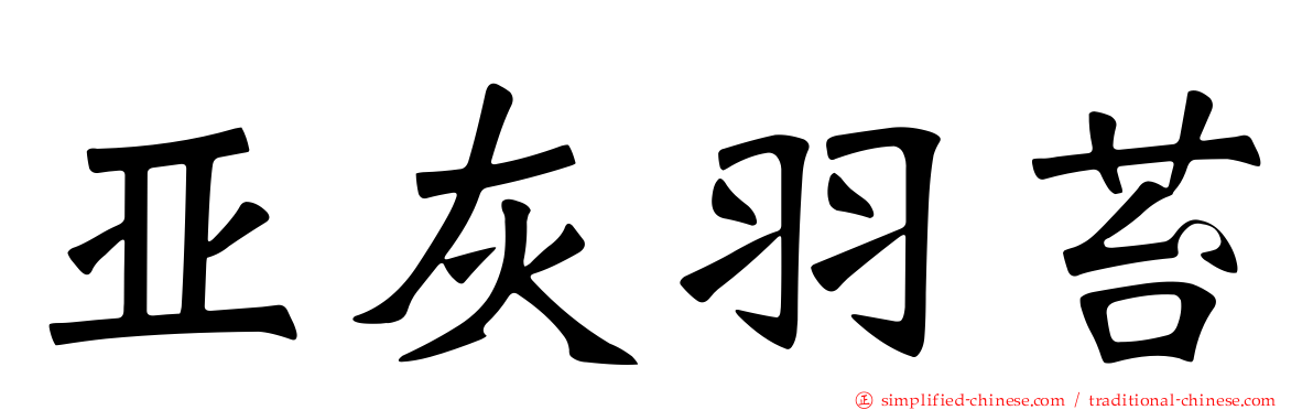 亚灰羽苔
