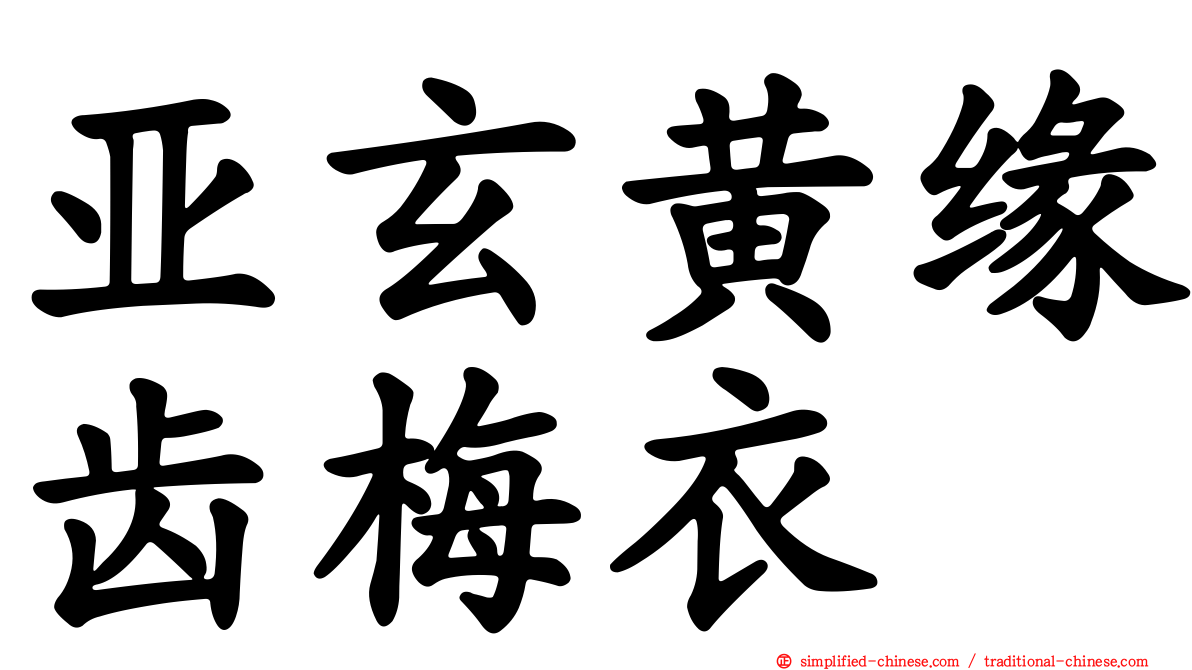 亚玄黄缘齿梅衣