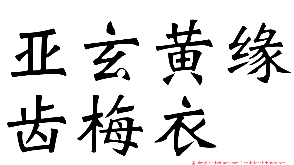 亚玄黄缘齿梅衣