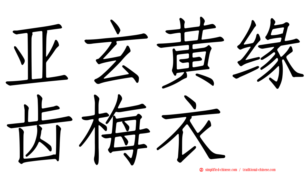 亚玄黄缘齿梅衣