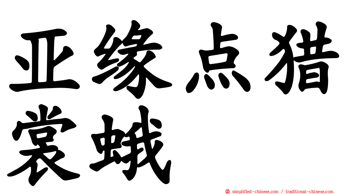 亚缘点猎裳蛾