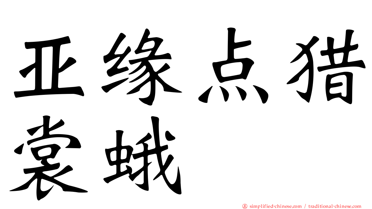 亚缘点猎裳蛾