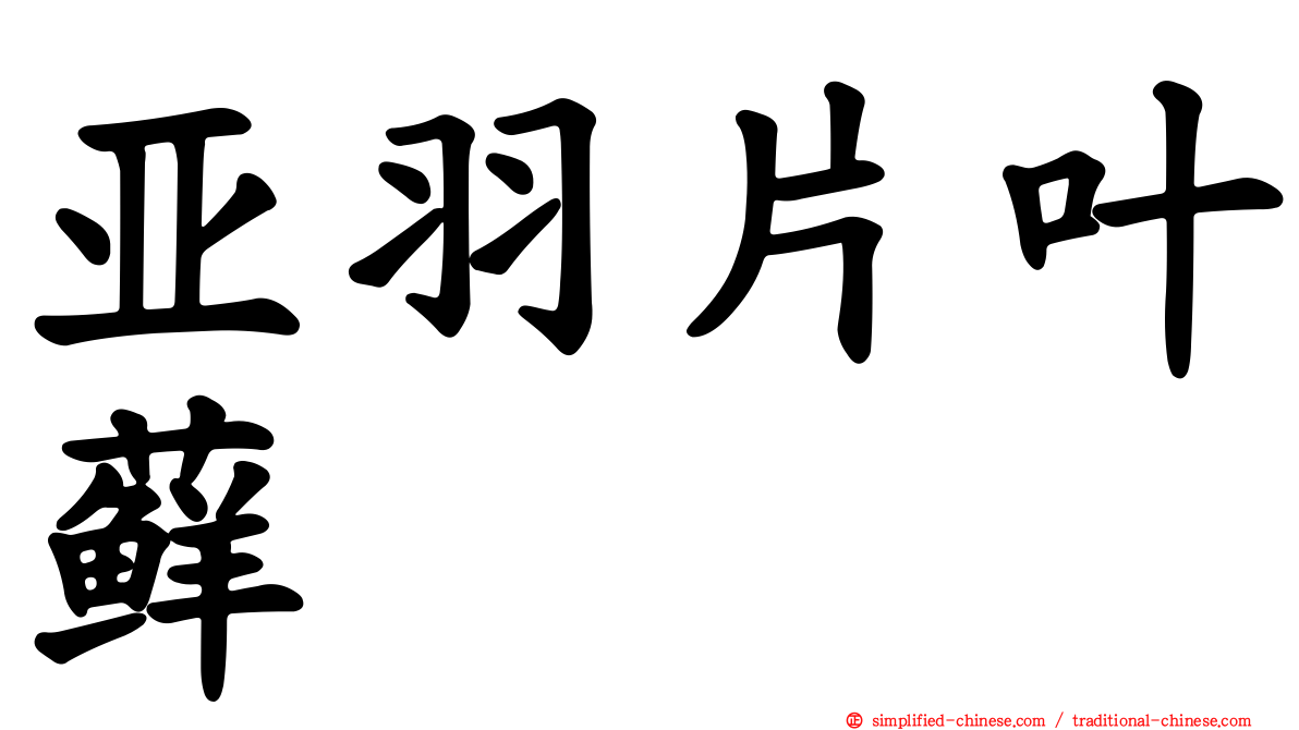 亚羽片叶藓