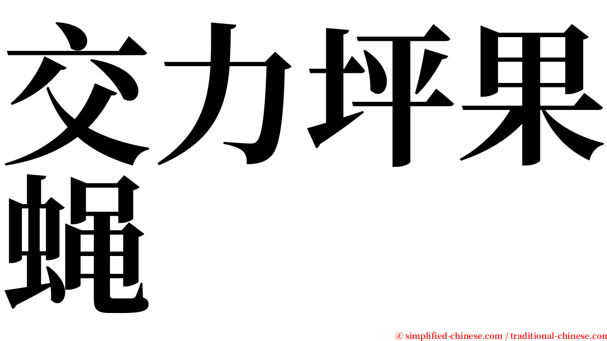 交力坪果蝇 serif font
