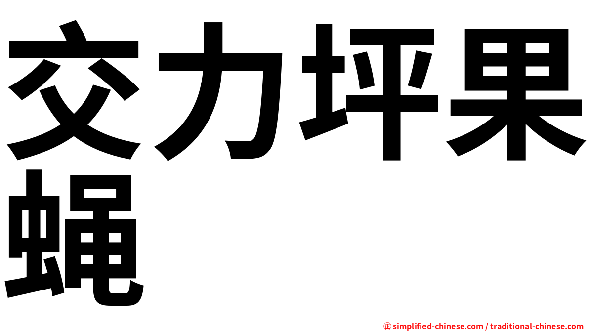 交力坪果蝇