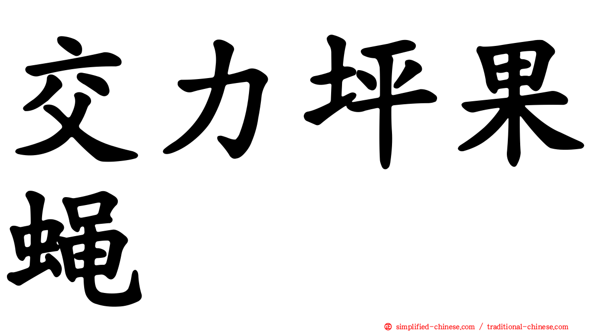 交力坪果蝇