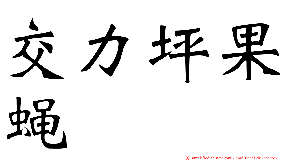 交力坪果蝇