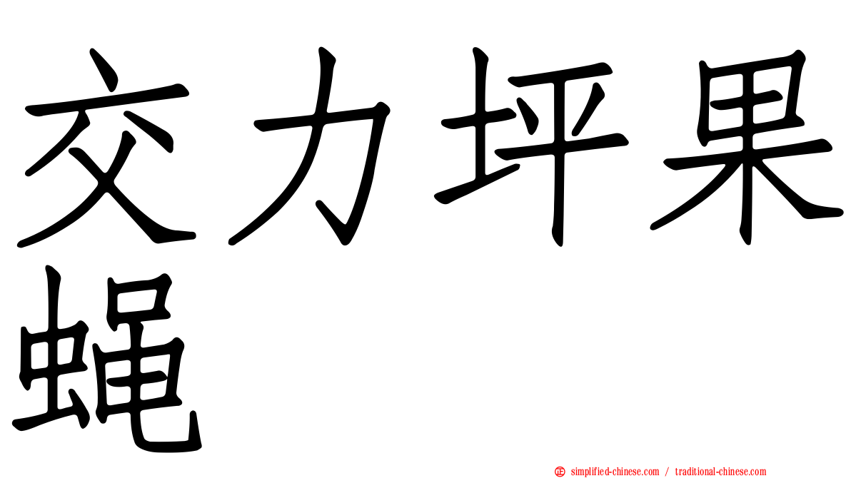 交力坪果蝇