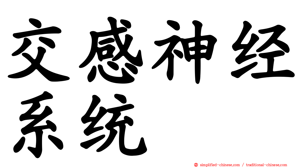 交感神经系统